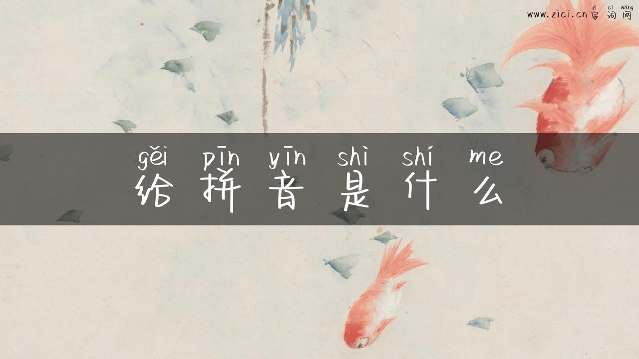 给拼音是什么