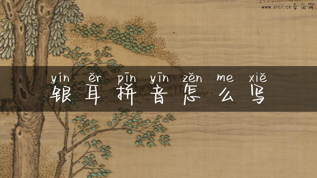 银耳拼音怎么写