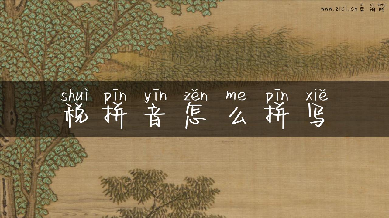 税拼音怎么拼写