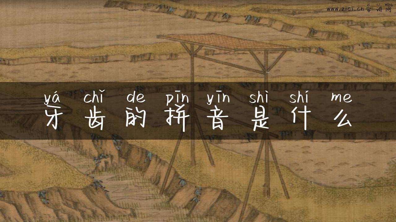 牙齿的拼音是什么