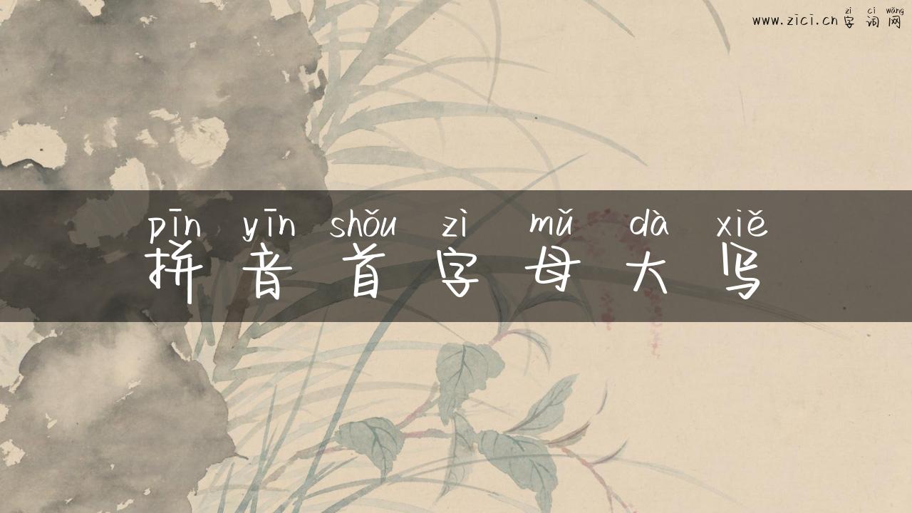 拼音首字母大写