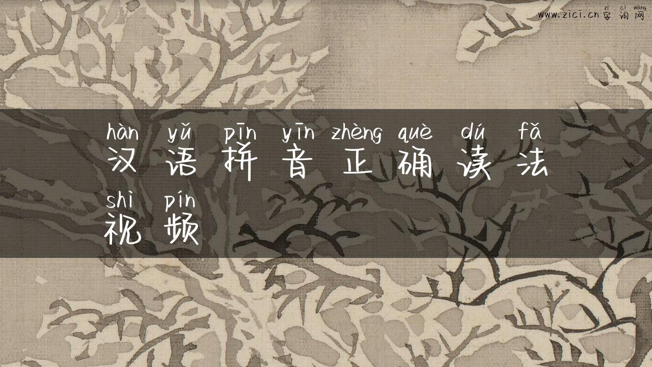 汉语拼音正确读法视频