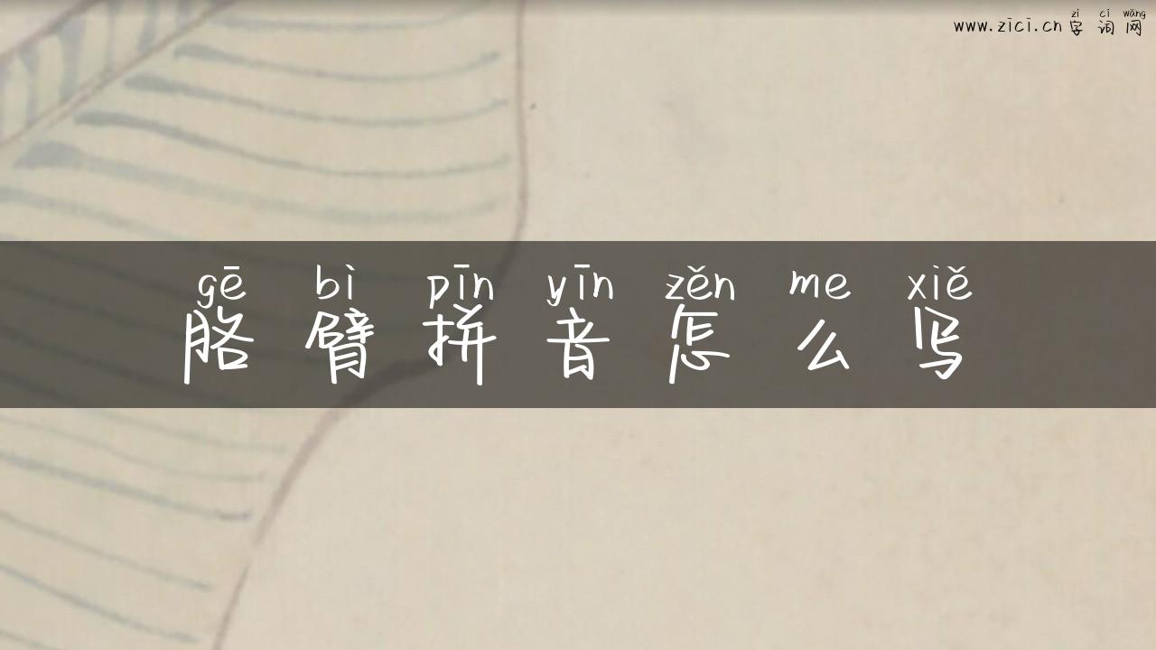 胳臂拼音怎么写