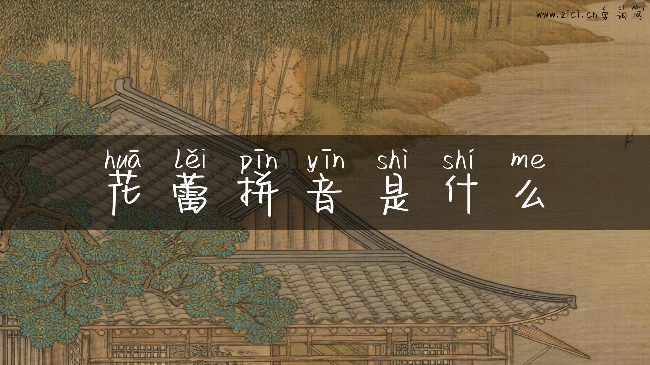 花蕾拼音是什么