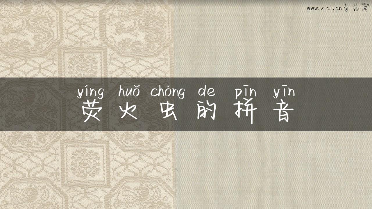 荧火虫的拼音