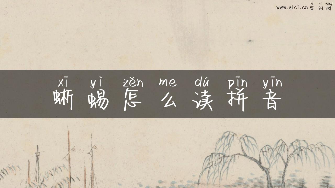 蜥蜴怎么读拼音