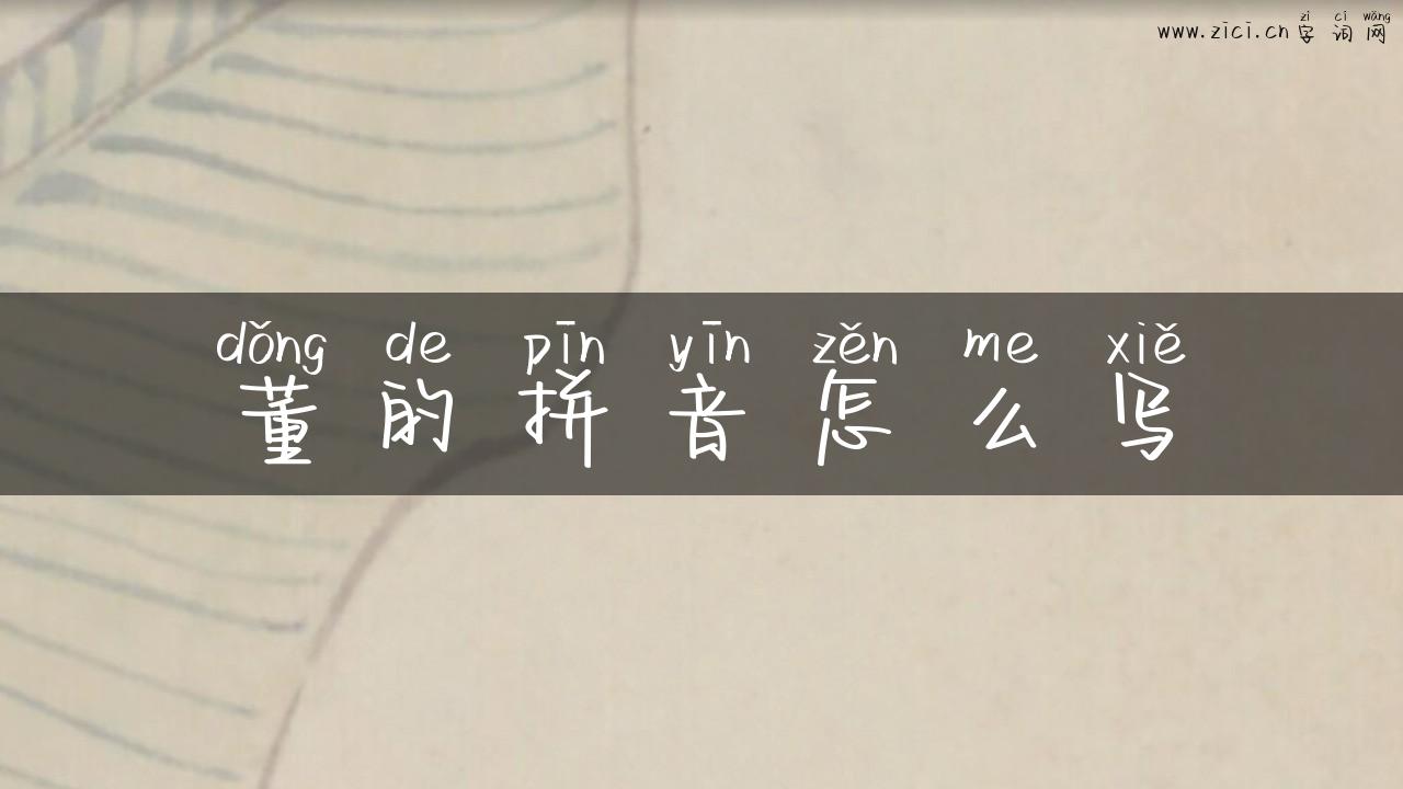 董的拼音怎么写