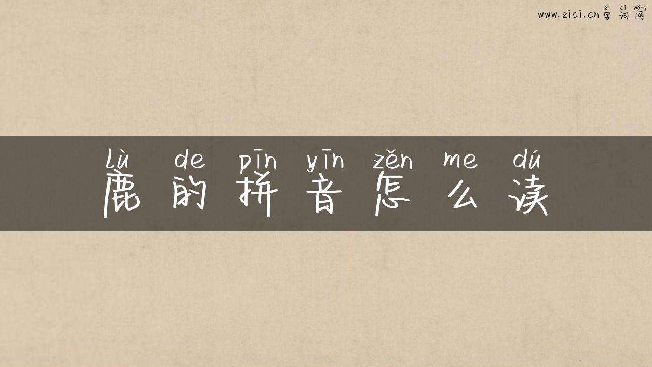 鹿的拼音怎么读