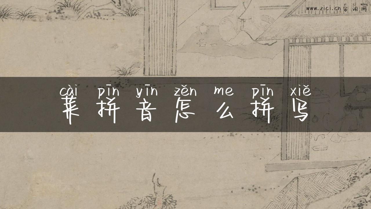 菜拼音怎么拼写