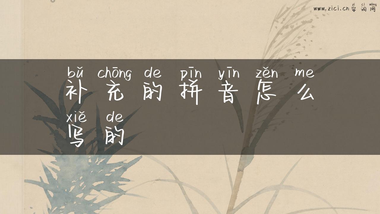 补充的拼音怎么写的