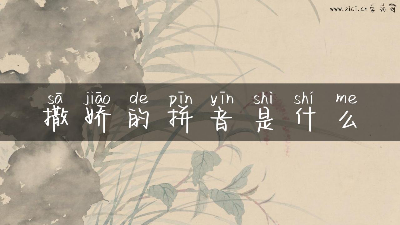 撒娇的拼音是什么