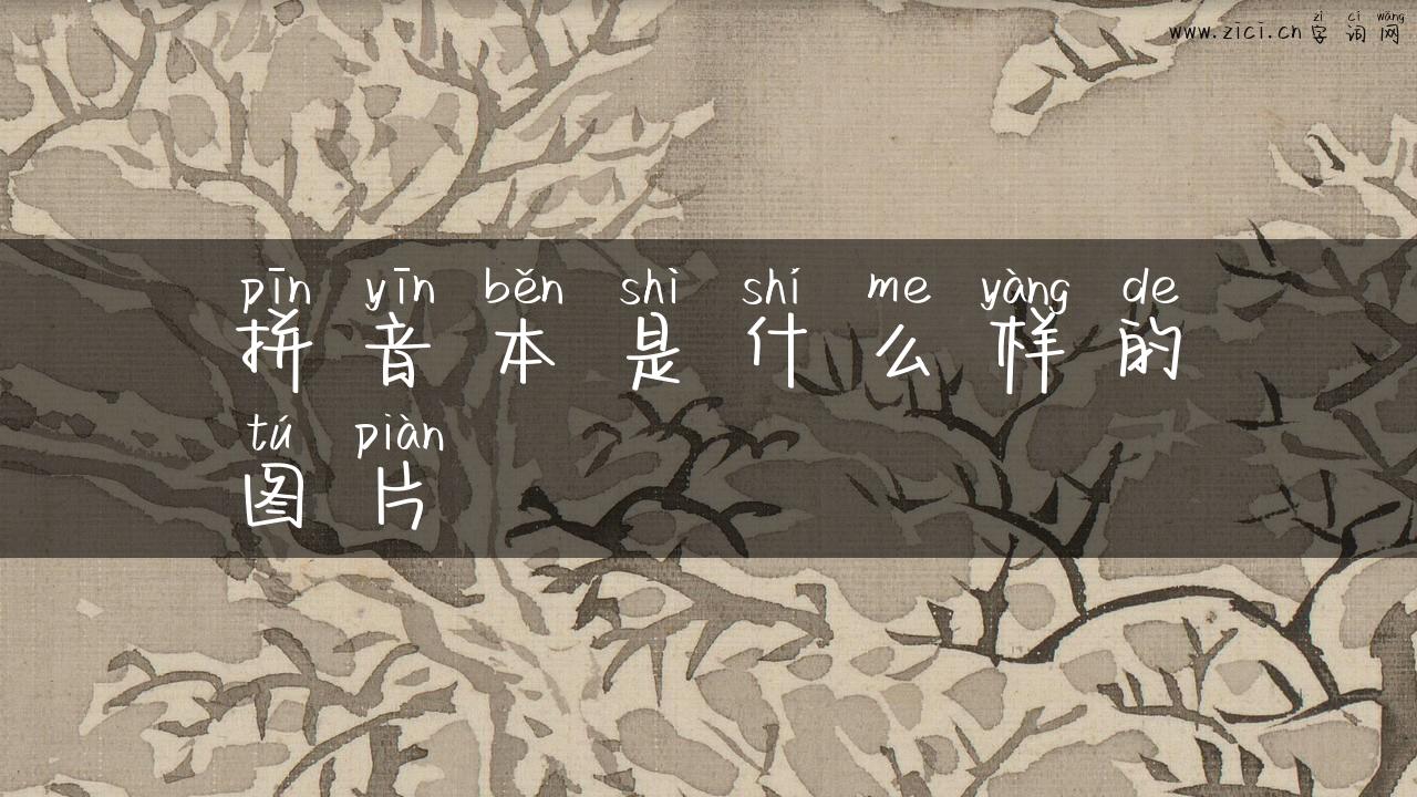 拼音本是什么样的图片