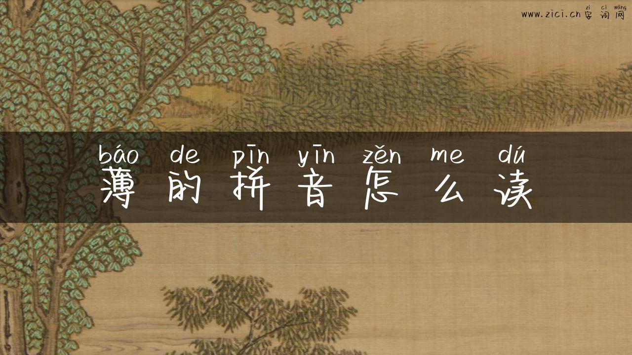 薄的拼音怎么读