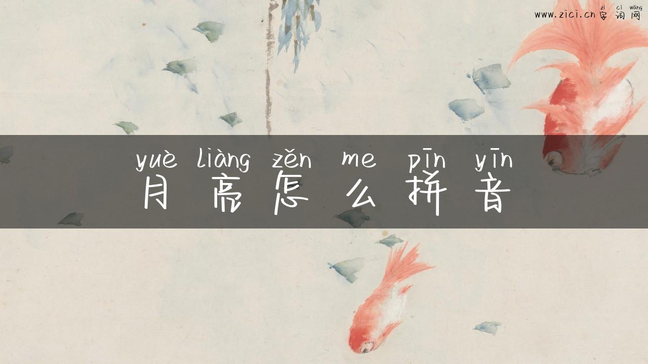 月亮怎么拼音