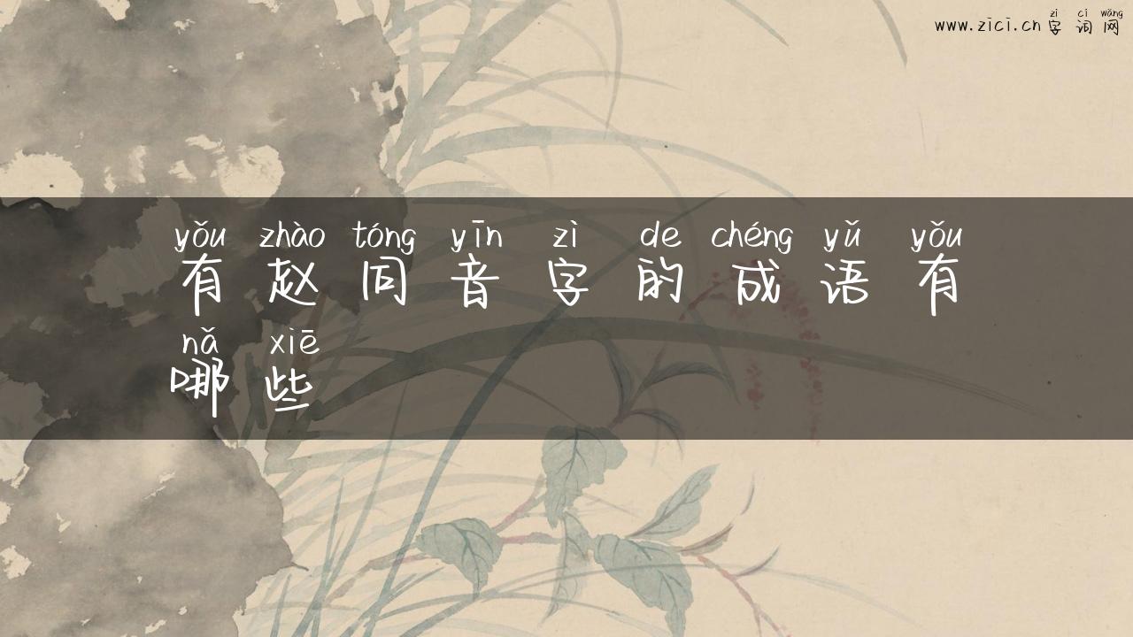 有赵同音字的成语有哪些