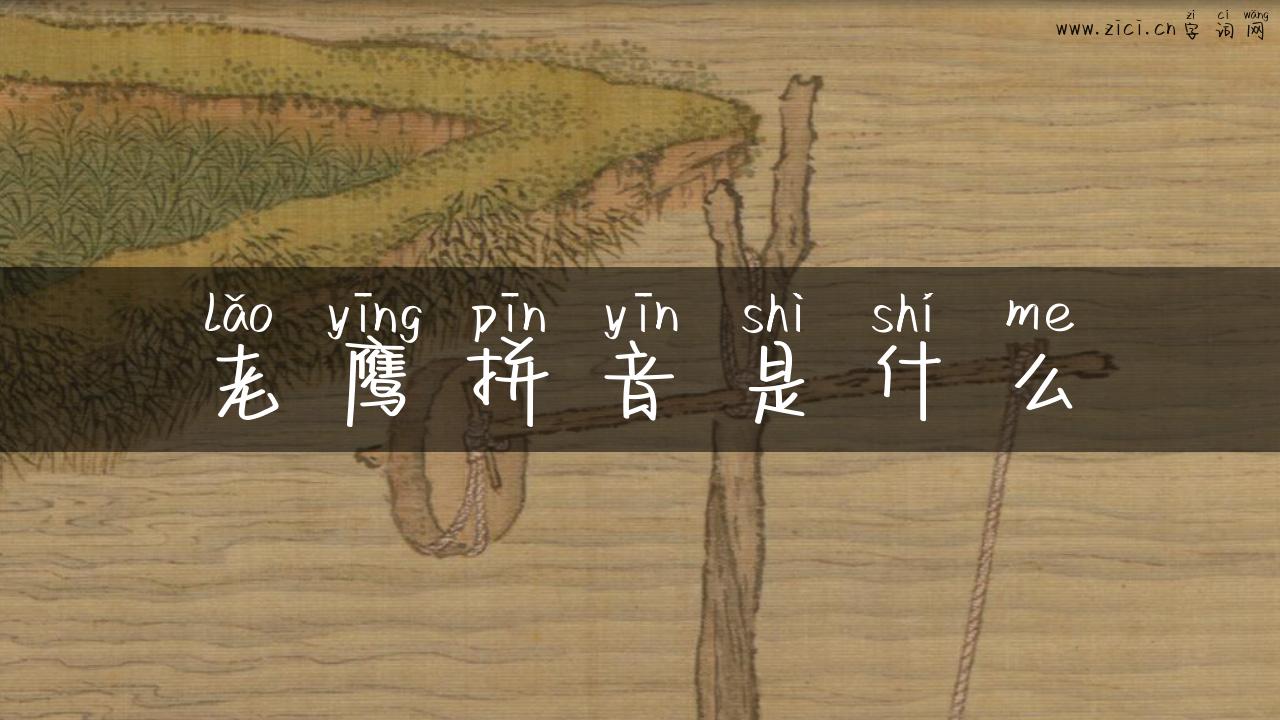 老鹰拼音是什么