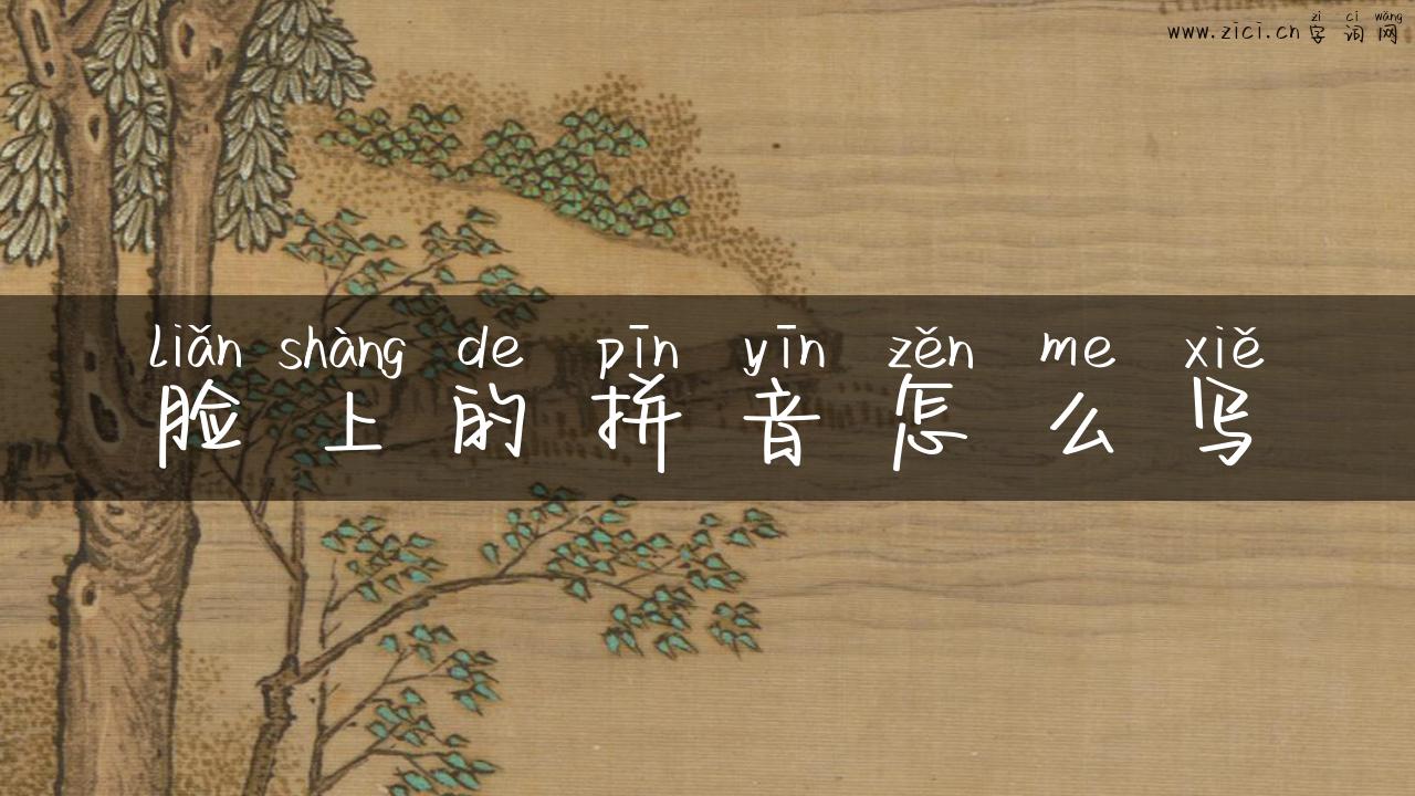 脸上的拼音怎么写