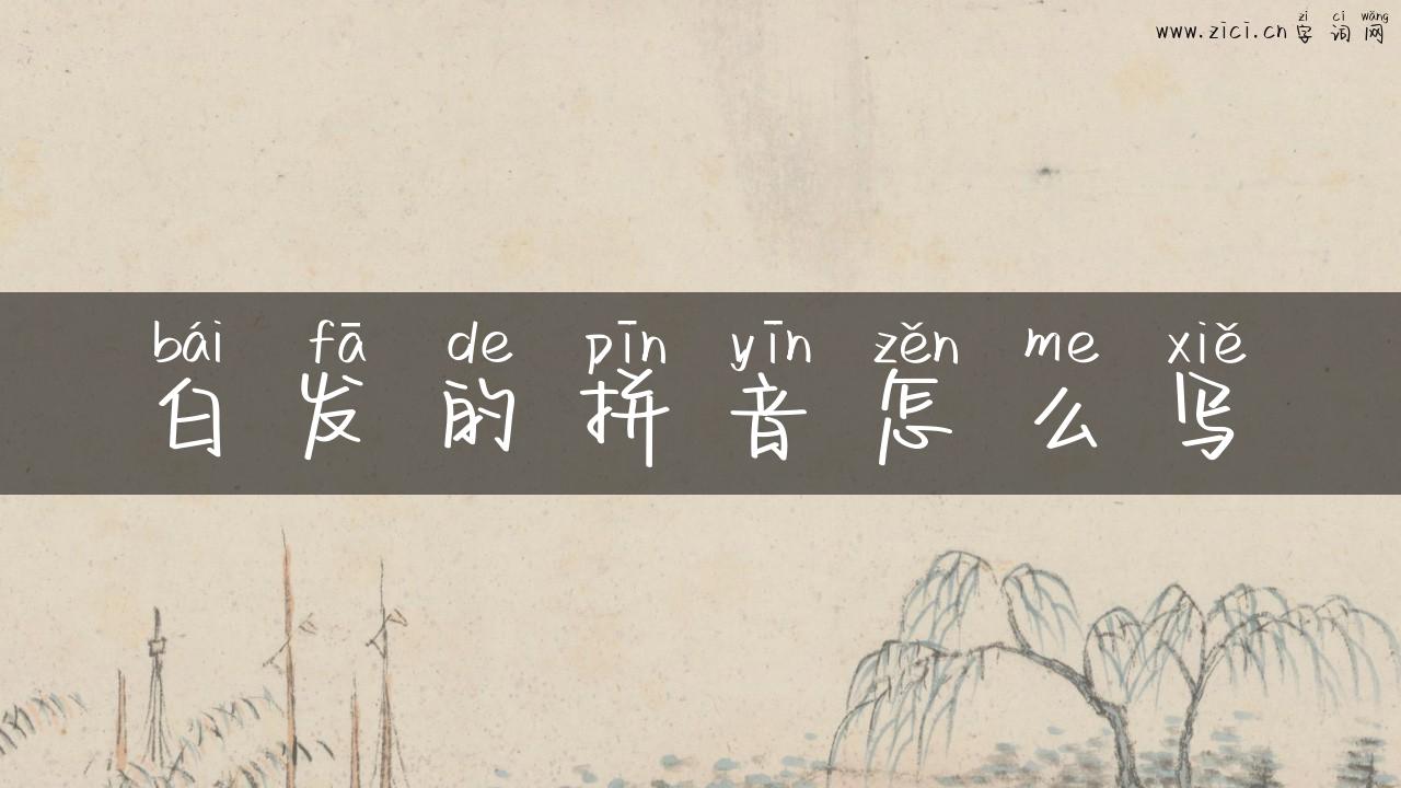 白发的拼音怎么写