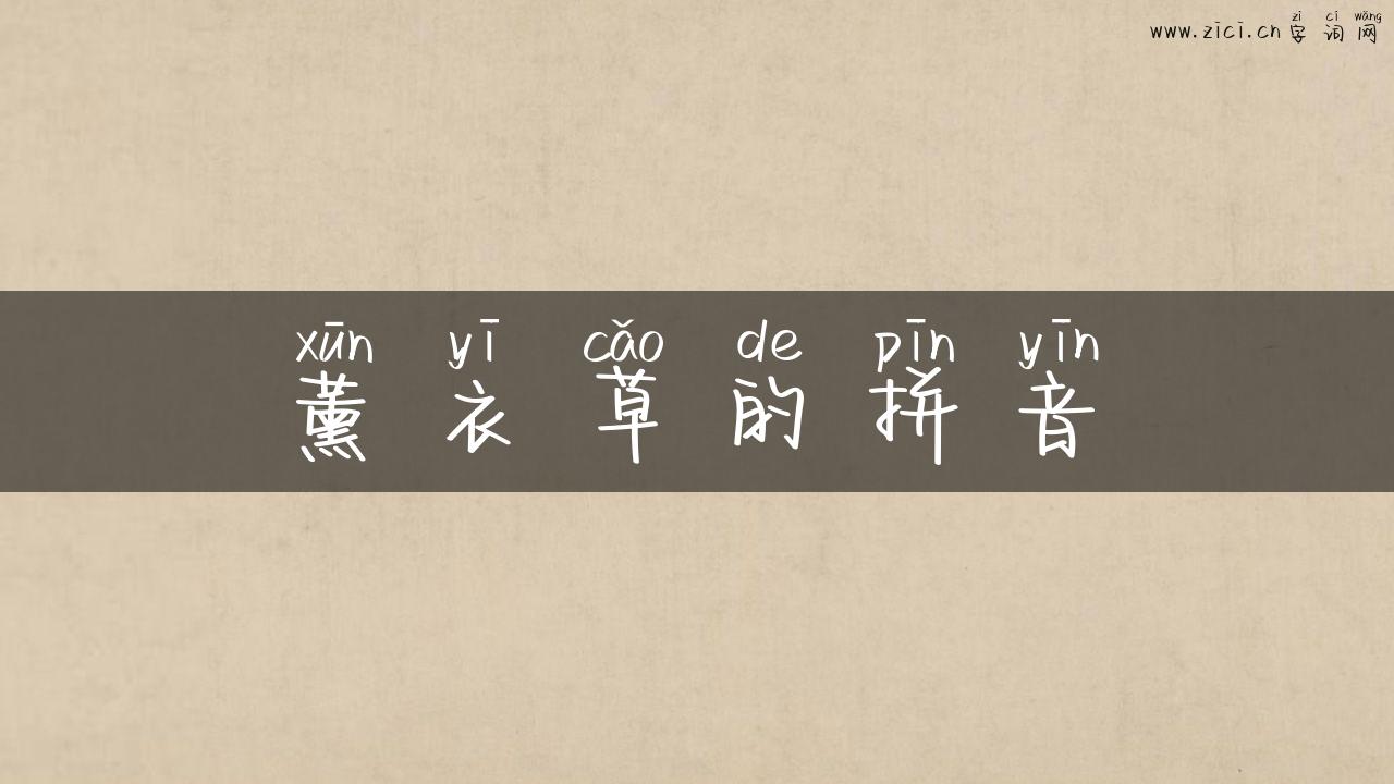 薰衣草的拼音