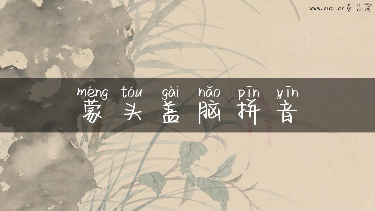 蒙头盖脑拼音
