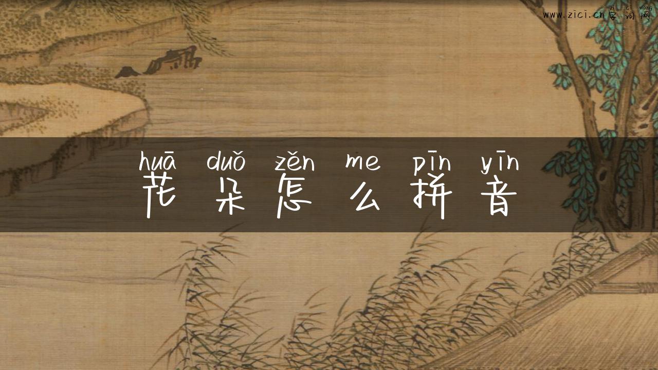 花朵怎么拼音