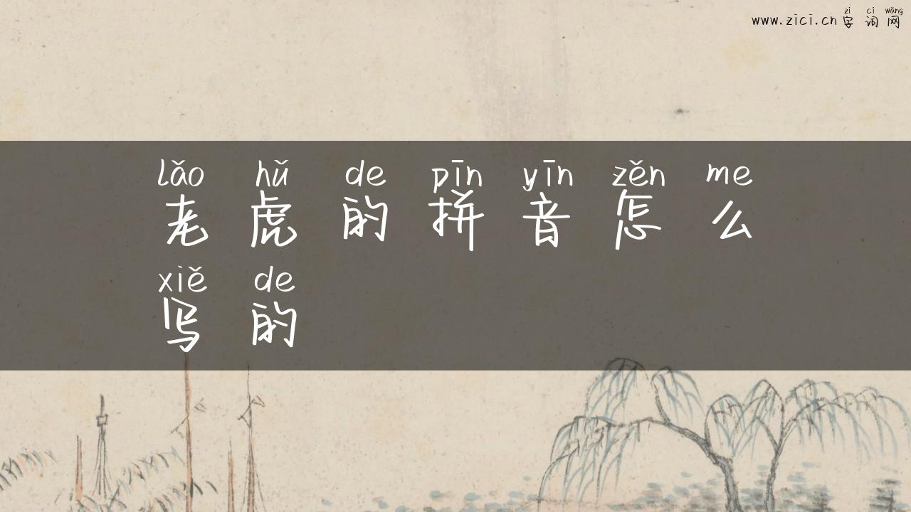 老虎的拼音怎么写的