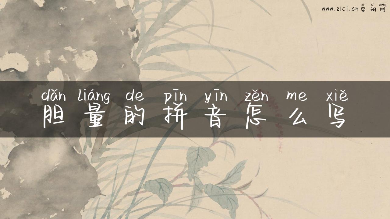 胆量的拼音怎么写
