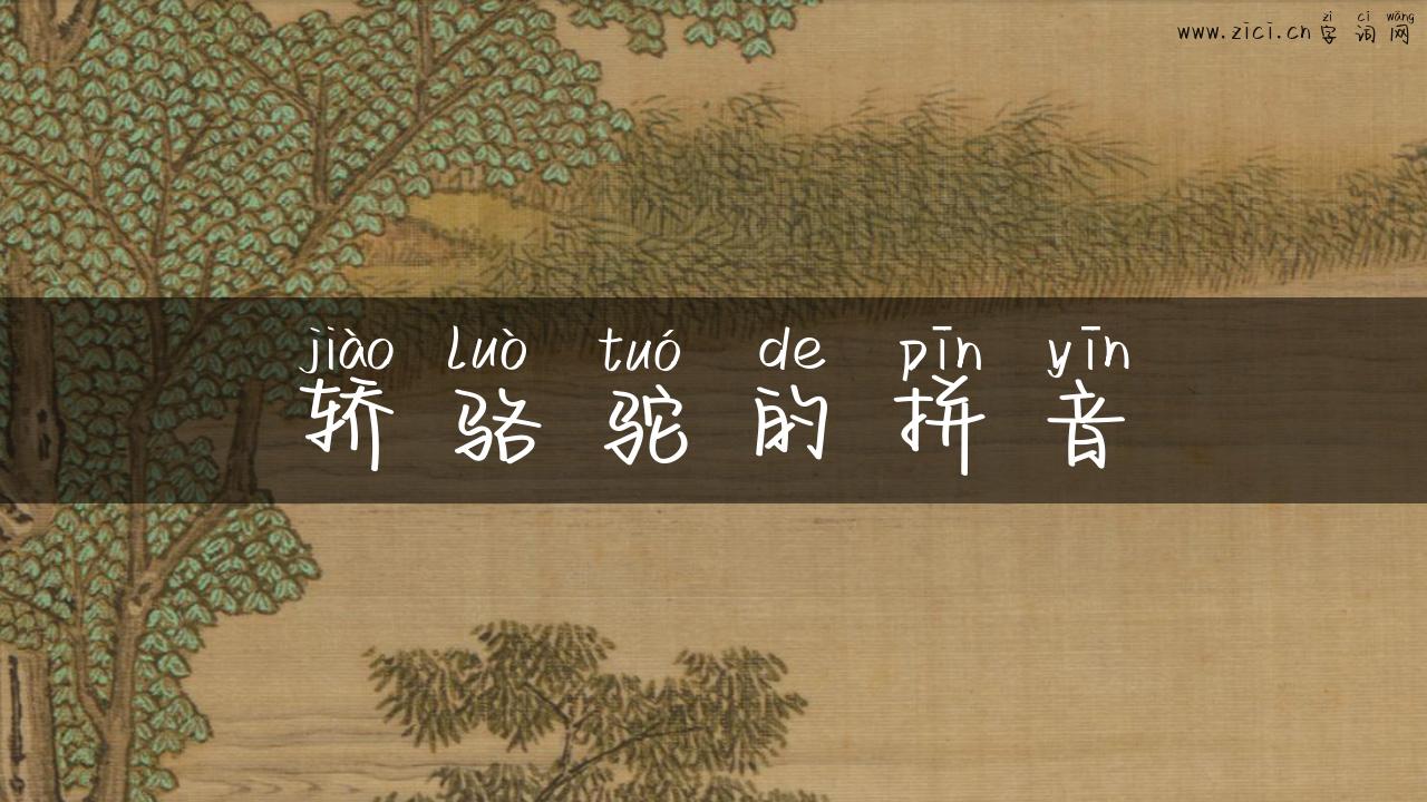 轿骆驼的拼音