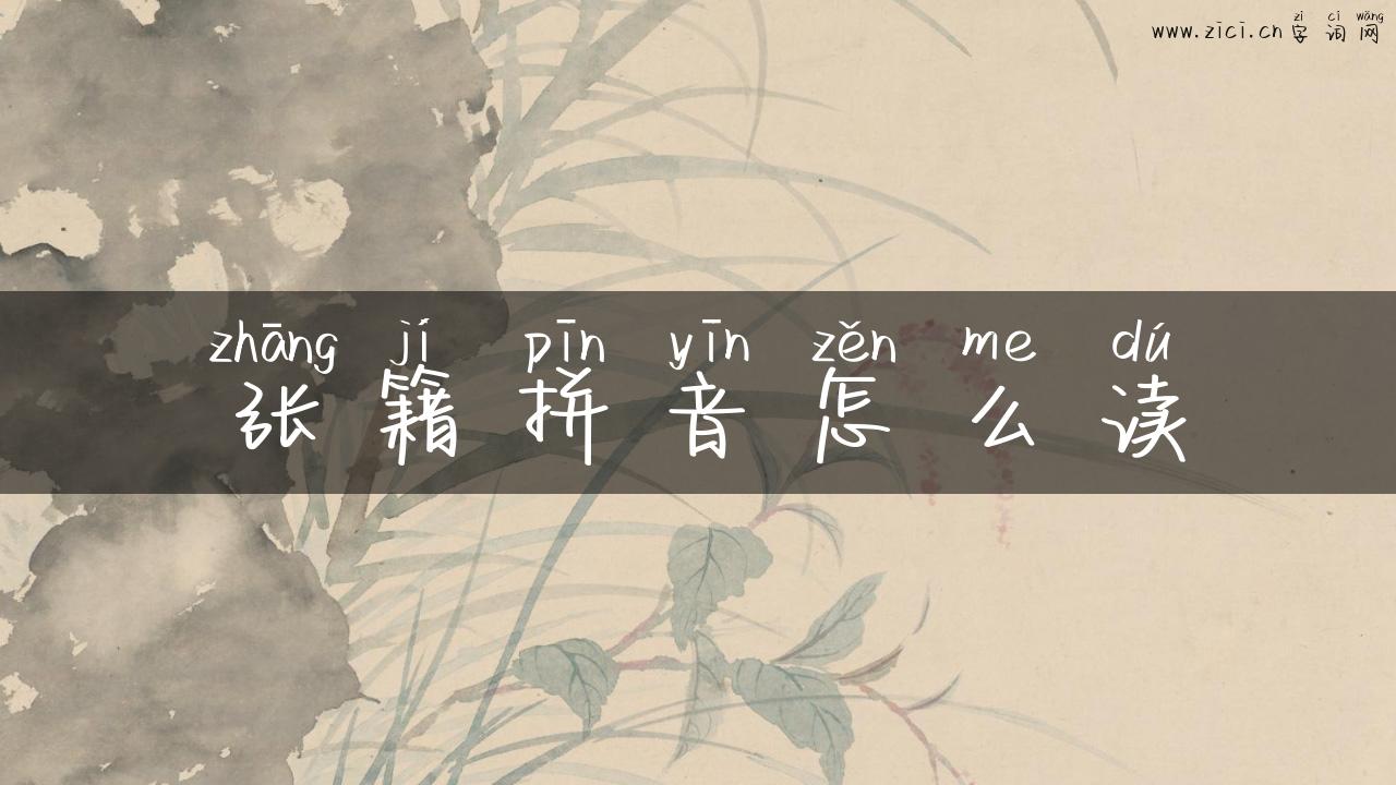 张籍拼音怎么读