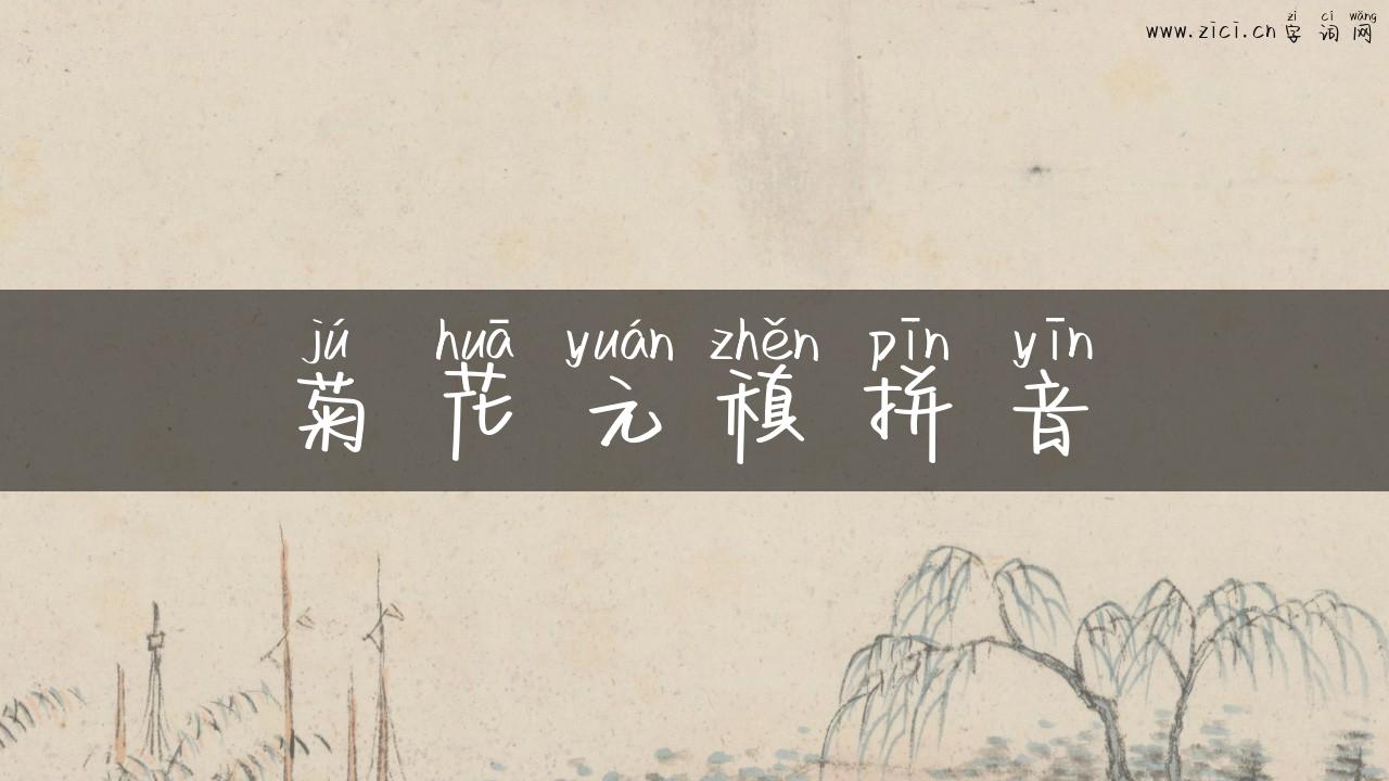 菊花元稹拼音