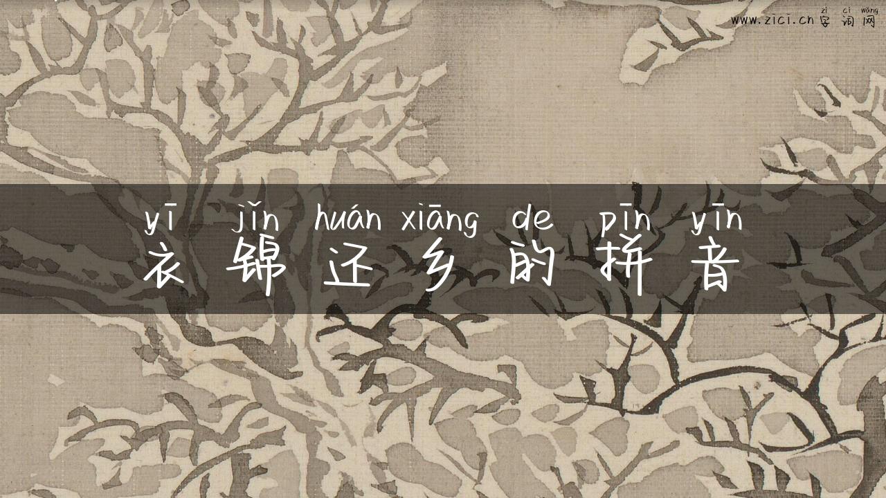 衣锦还乡的拼音