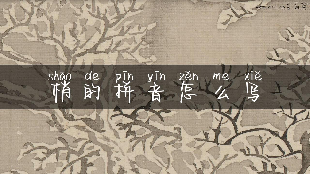 梢的拼音怎么写