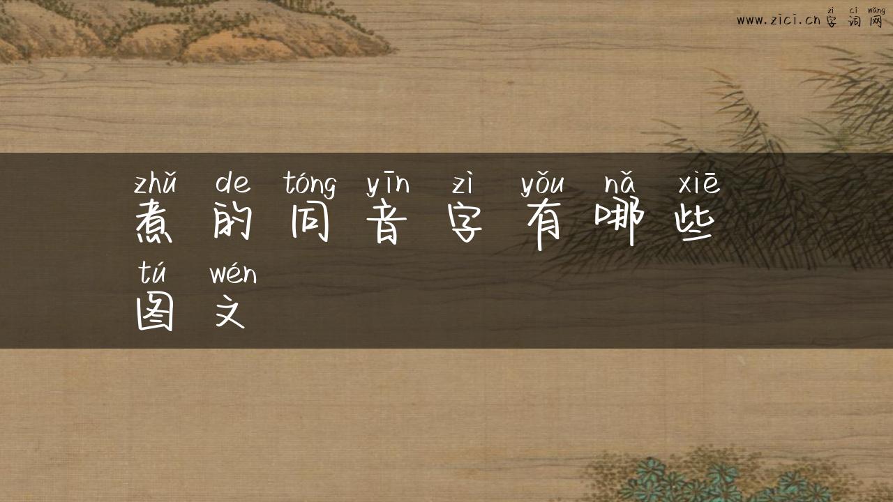 煮的同音字有哪些 图文