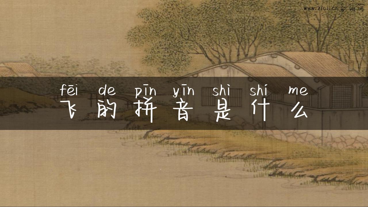 飞的拼音是什么