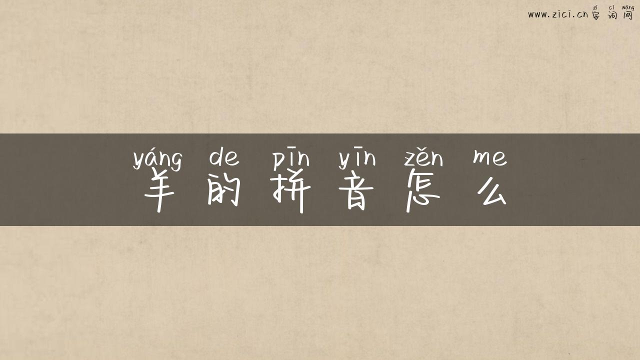 羊的拼音怎么