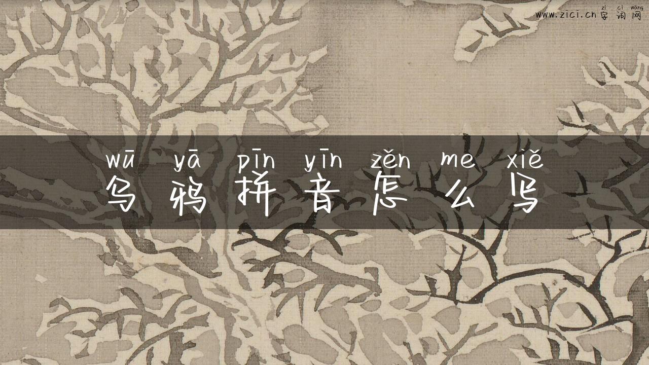 乌鸦拼音怎么写