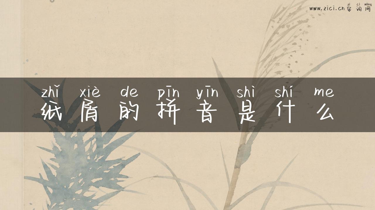 纸屑的拼音是什么