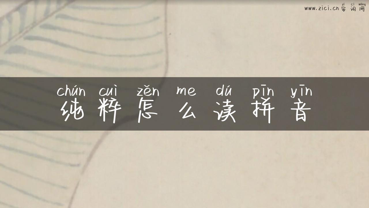 纯粹怎么读拼音