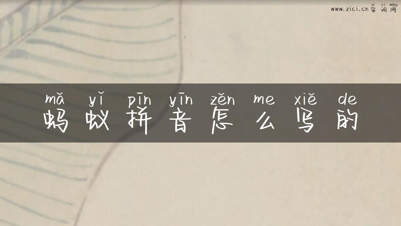 蚂蚁拼音怎么写的