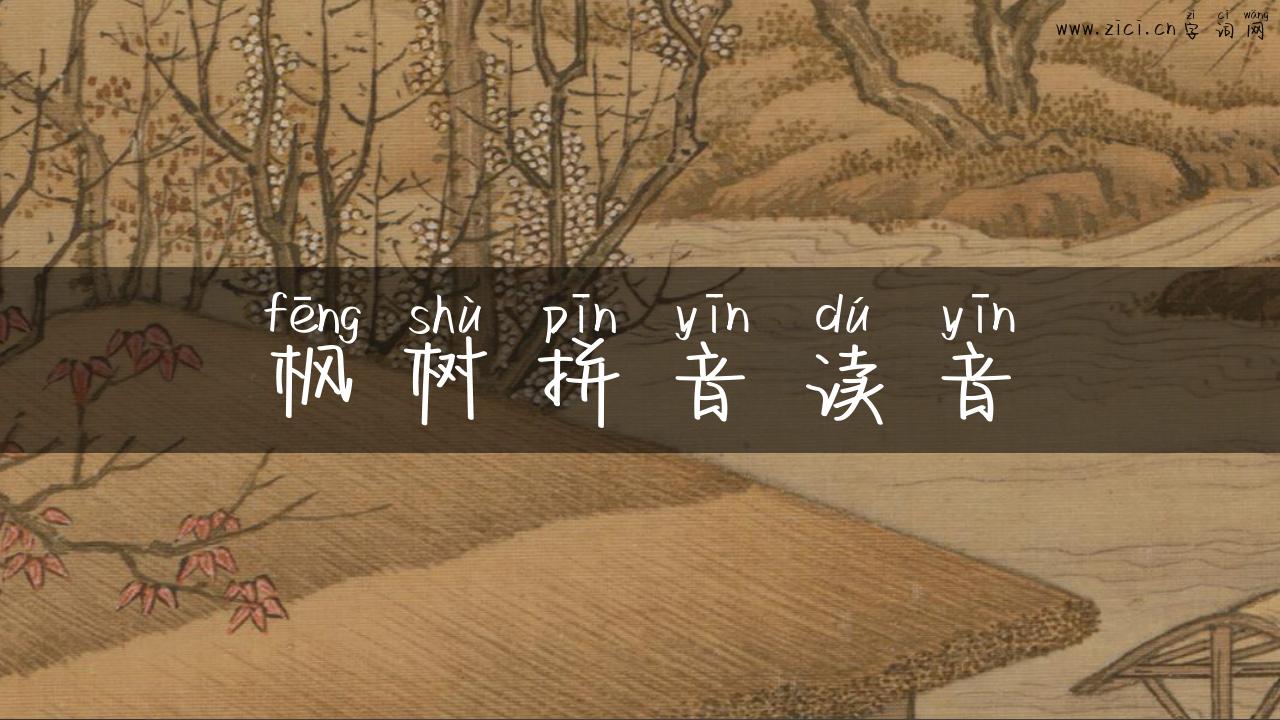 枫树拼音读音