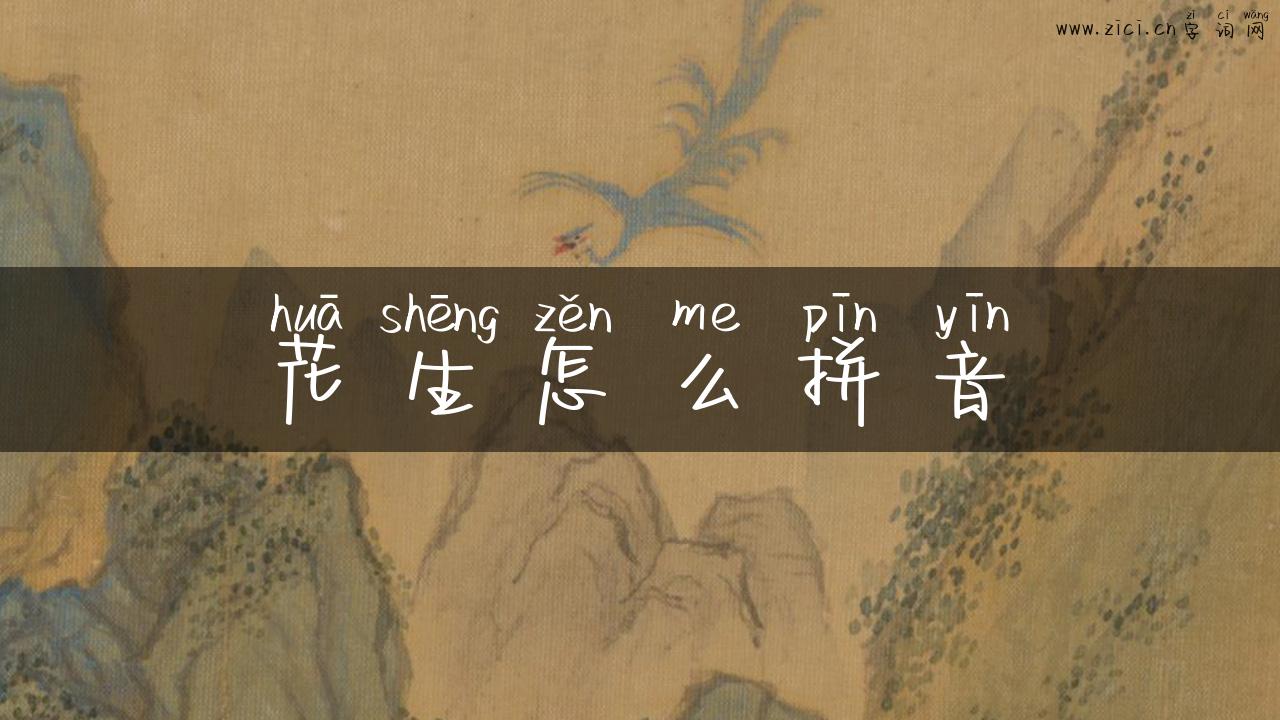花生怎么拼音