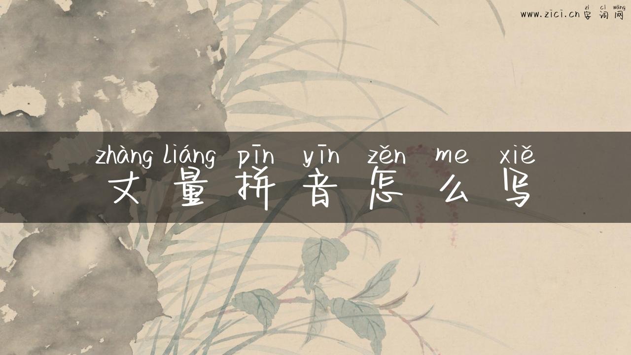 丈量拼音怎么写