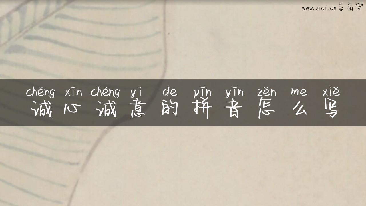 诚心诚意的拼音怎么写
