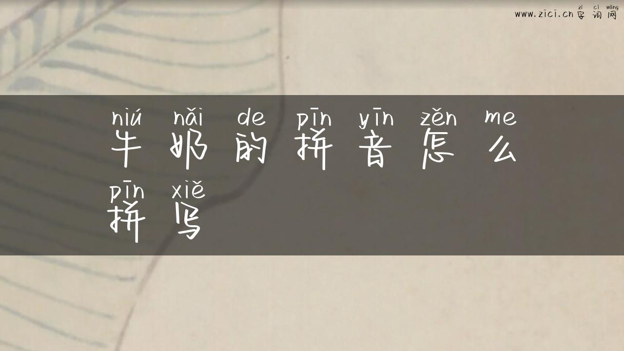 牛奶的拼音怎么拼写