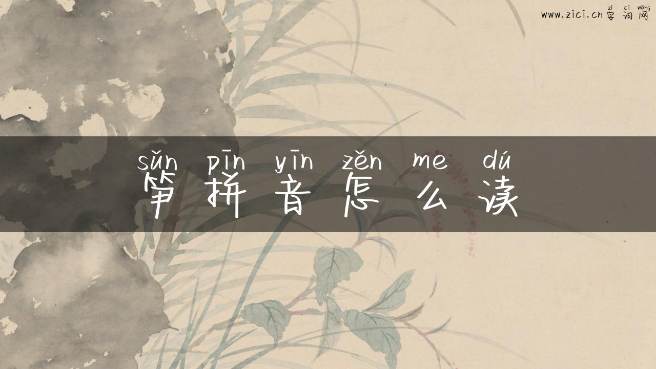 笋拼音怎么读