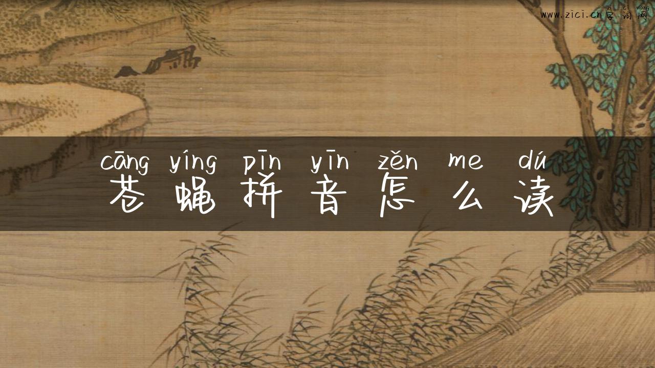 苍蝇拼音怎么读