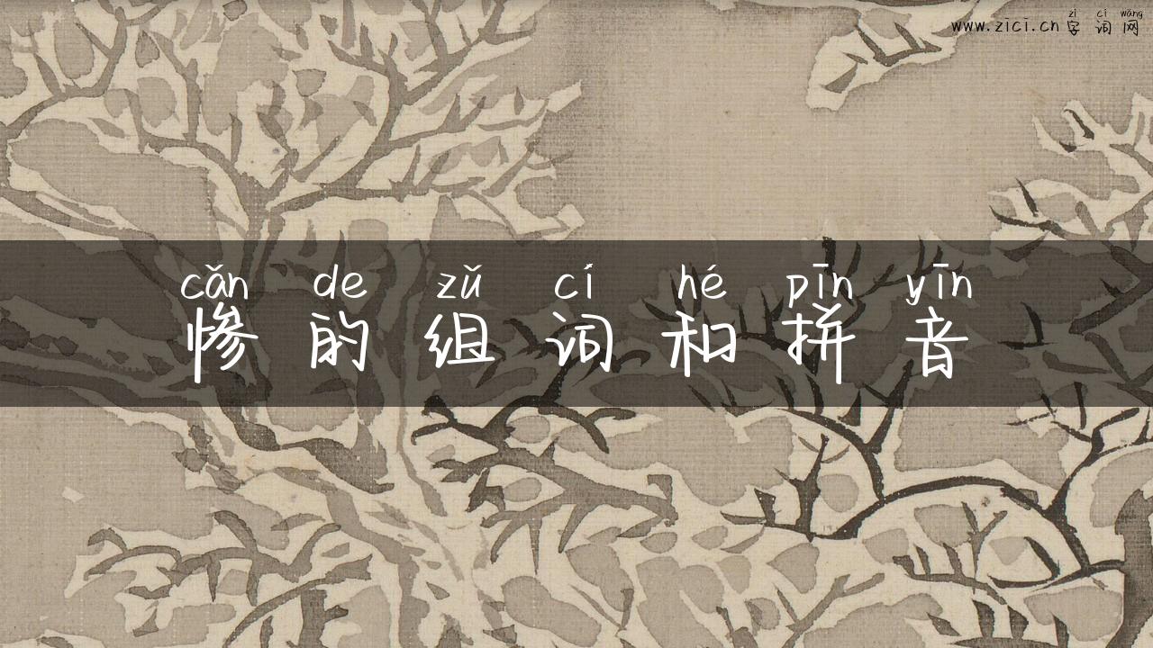 惨的组词和拼音
