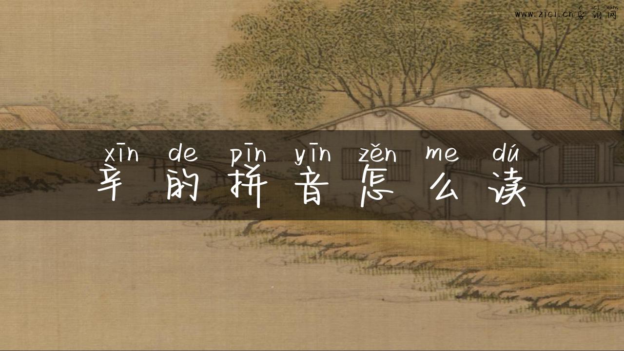 辛的拼音怎么读