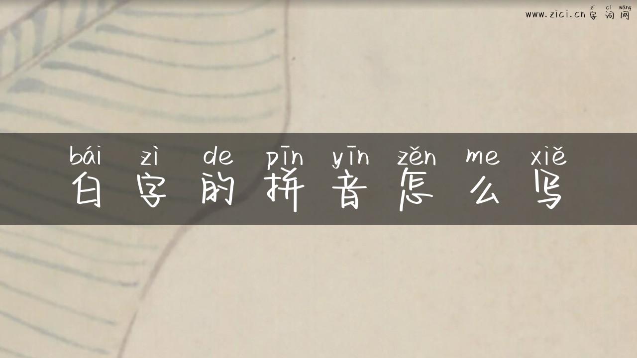白字的拼音怎么写