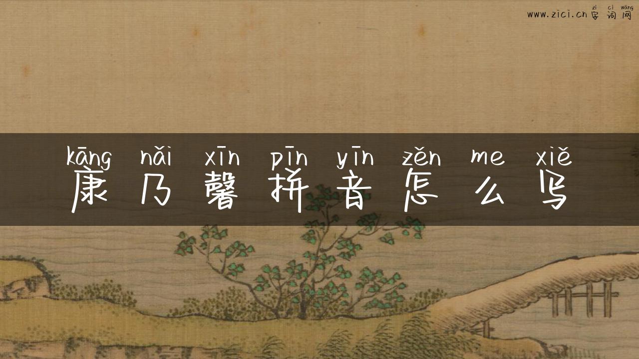 康乃馨拼音怎么写